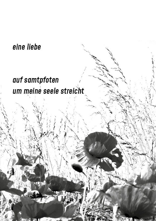 nicht mehr unbeschrieben – Motiv 3